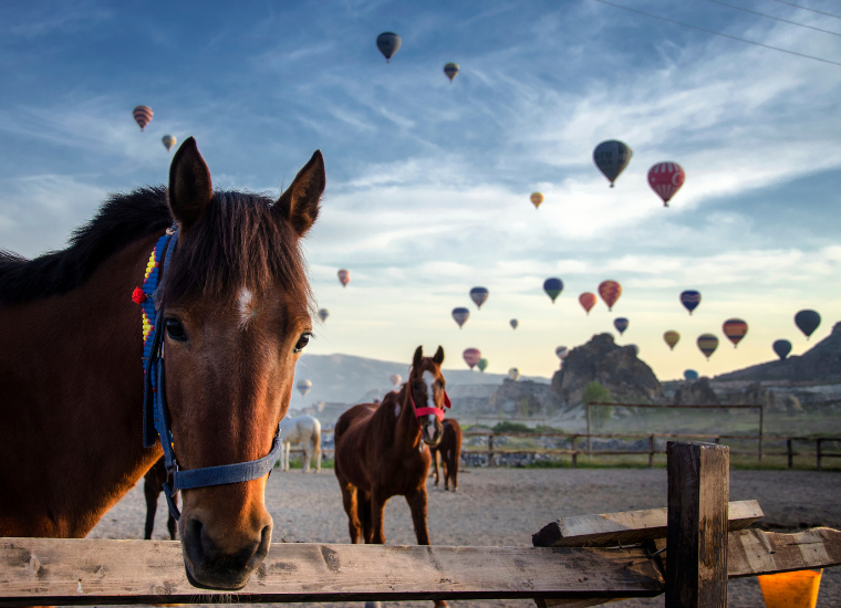 Balayı Paketim Kapadokya Seyahat ve Tatil Deneyimi